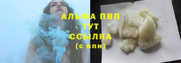 индика Семёнов