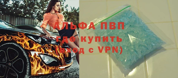 индика Семёнов