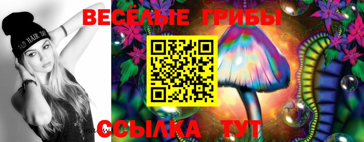 Псилоцибиновые грибы Psilocybe  Вход с VPN  Северобайкальск  Галлюциногенные грибы Psilocybine cubensis 
