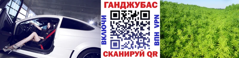 где найти наркотики  shop как зайти  Шишки марихуана ГИДРОПОН  Северобайкальск 